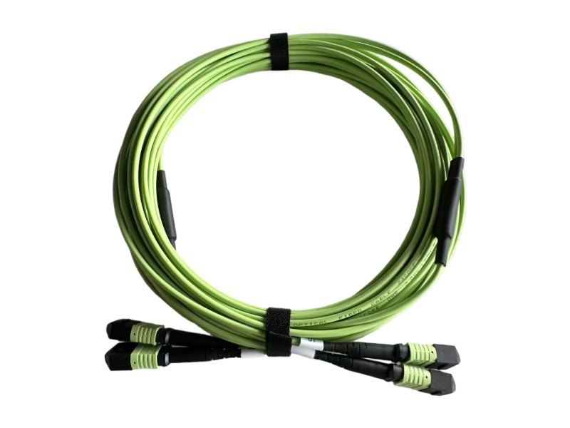 24F OM5 MPO Cable